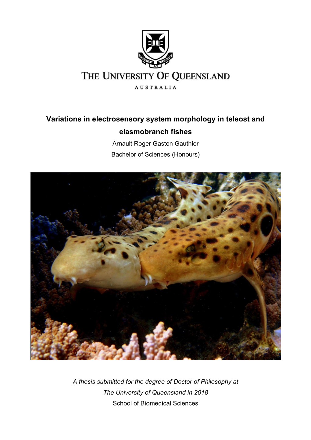 Variations in Electrosensory System Morphology in Teleost and Elasmobranch Fishes Arnault Roger Gaston Gauthier Bachelor of Sciences (Honours)