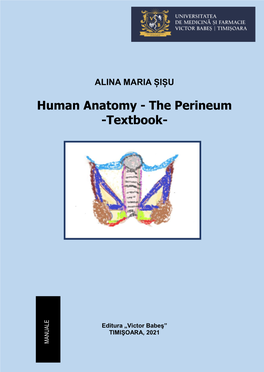 Human Anatomy - the Perineum -Textbook