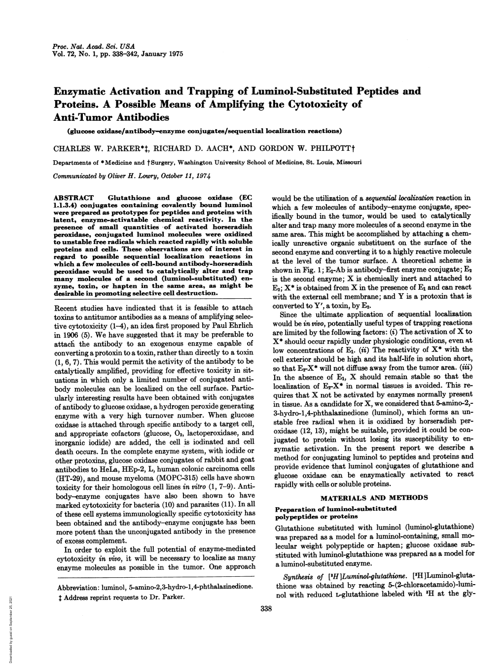 Enzymatic Activation and Trapping of Luminol-Substituted Peptides and Proteins