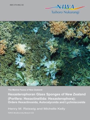 Hexasterophoran Glass Sponges of New Zealand (Porifera: Hexactinellida: Hexasterophora): Orders Hexactinosida, Aulocalycoida and Lychniscosida