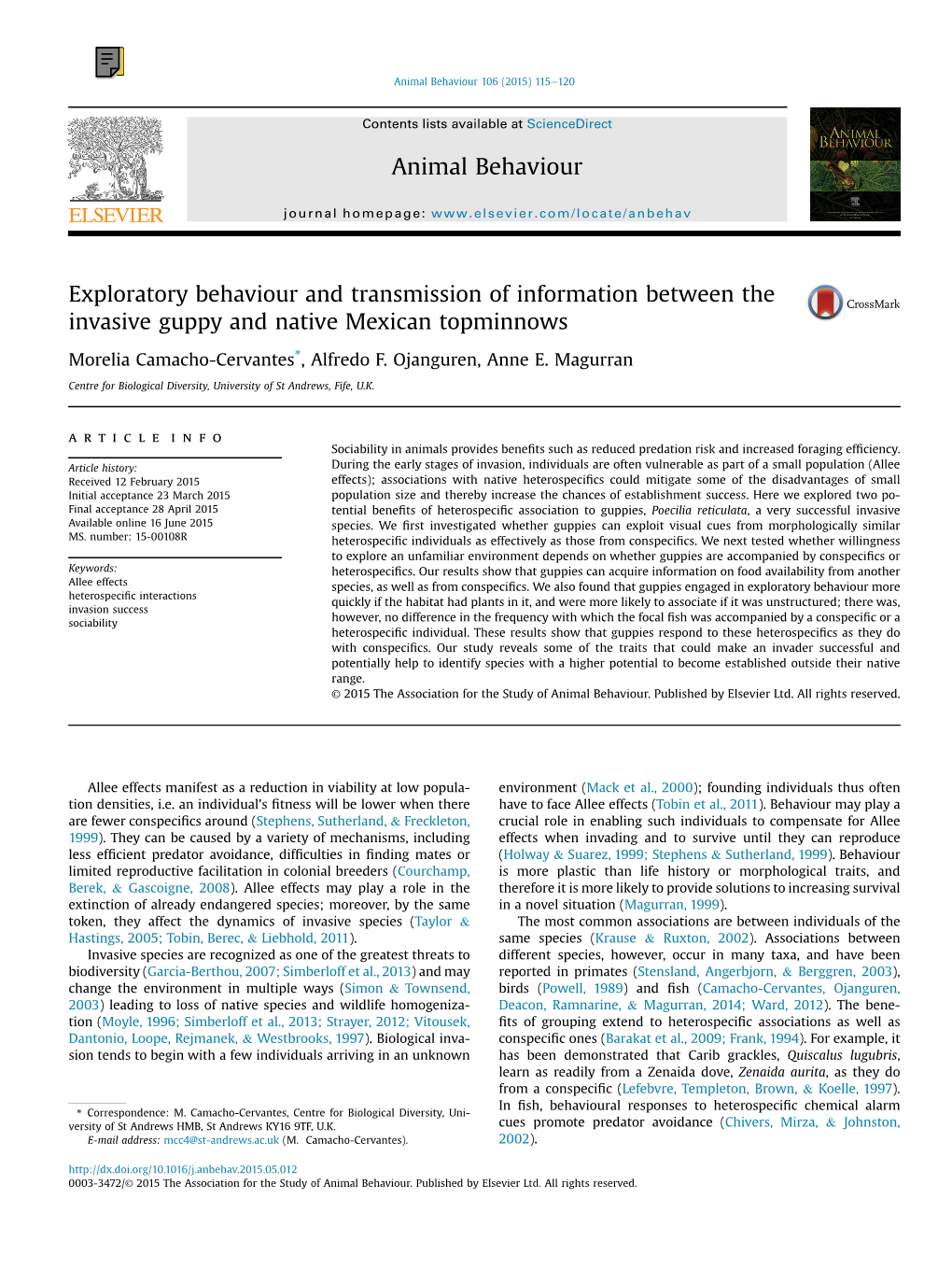 Exploratory Behaviour and Transmission of Information Between the Invasive Guppy and Native Mexican Topminnows