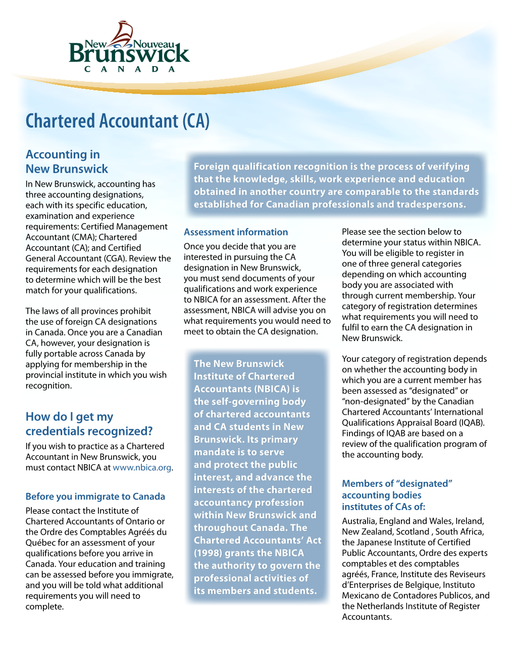 Chartered Accountant (CA)