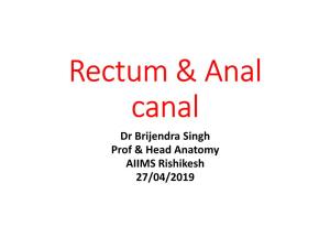 Rectum & Anal Canal