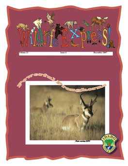 Wildlife Express December 07