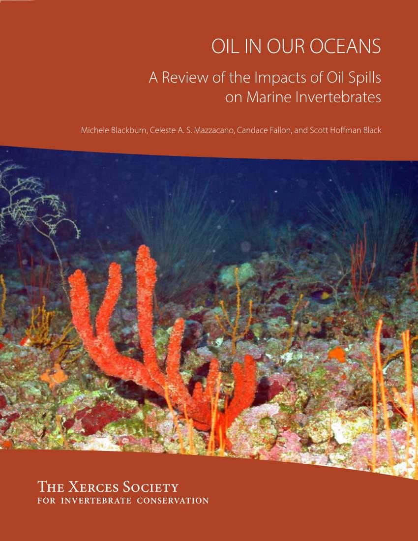 OIL in OUR OCEANS a Review of the Impacts of Oil Spills on Marine Invertebrates