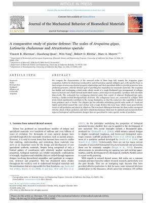A Comparative Study of Piscine Defense the Scales of Arapaima