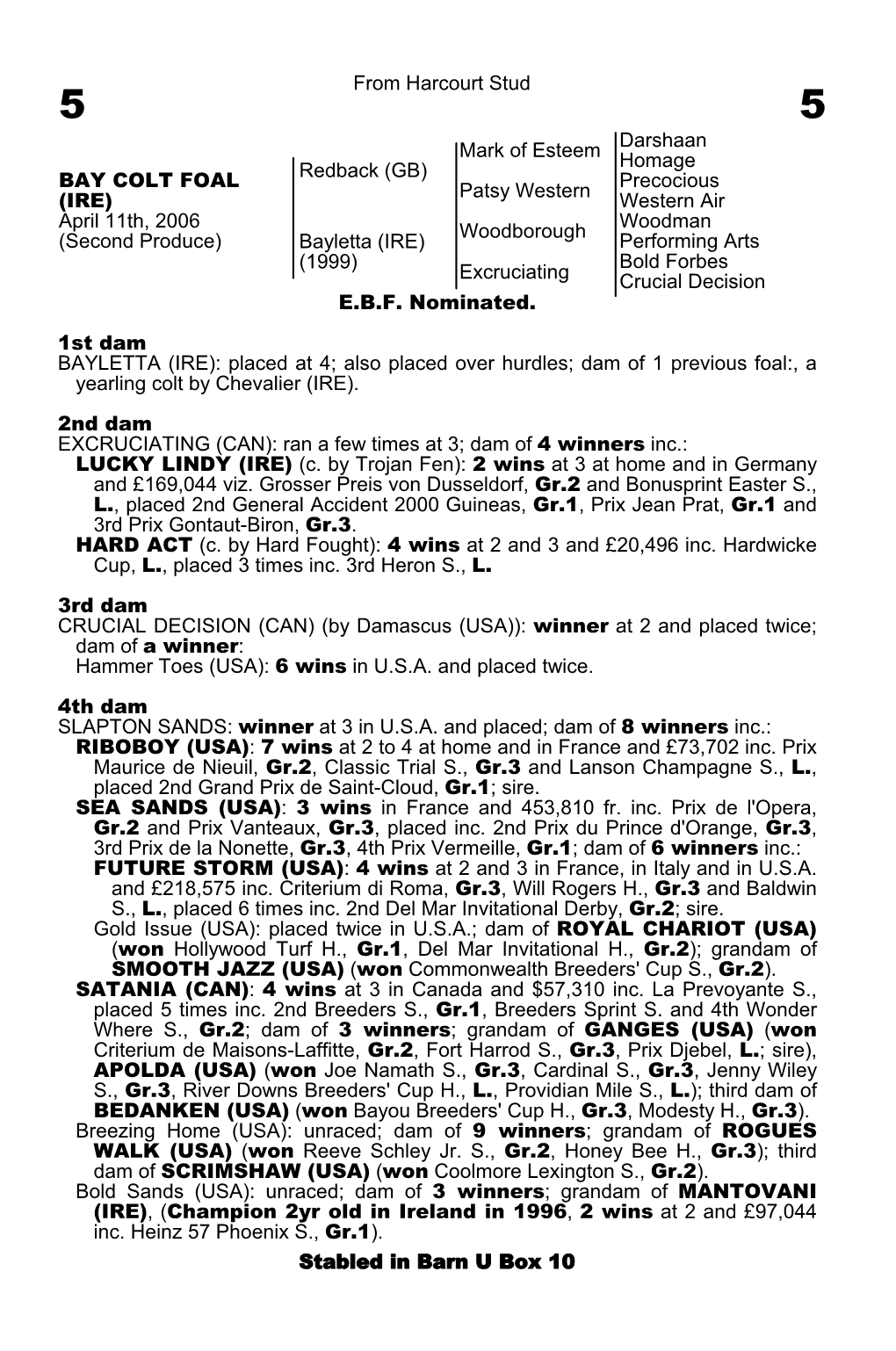 From Harcourt Stud Mark of Esteem Darshaan Homage Redback (GB)