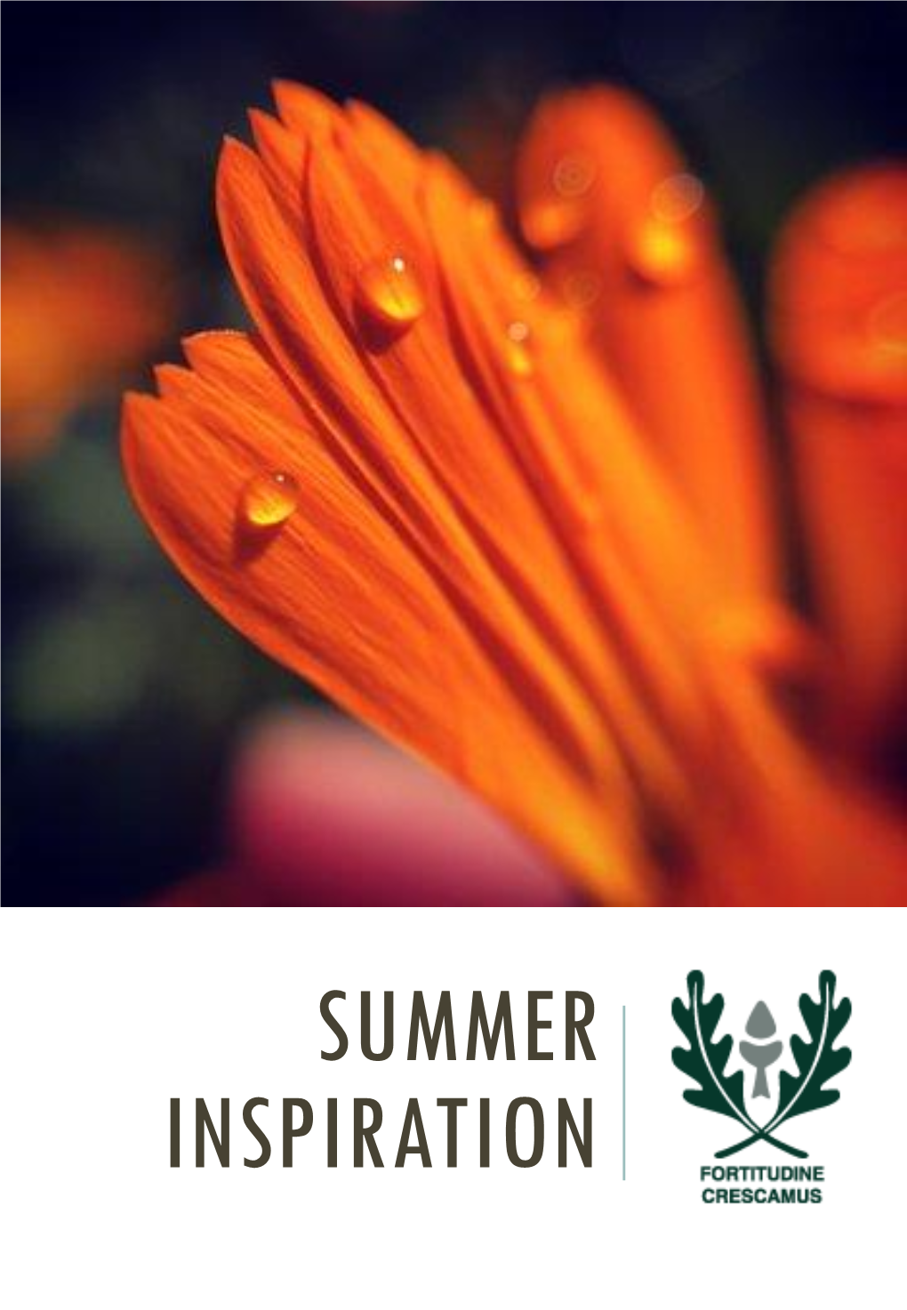 Summer Inspiration About This Booklet