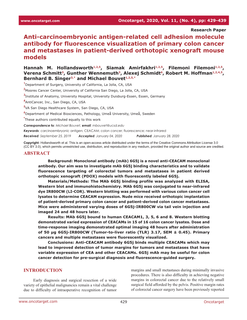 Anti-Carcinoembryonic Antigen-Related Cell Adhesion Molecule Antibody for Fluorescence Visualization of Primary Colon Cancer