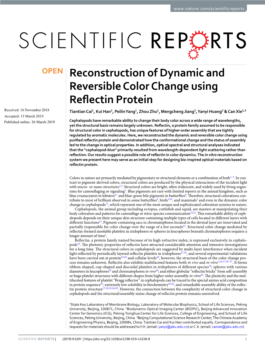 Reconstruction of Dynamic and Reversible Color Change Using