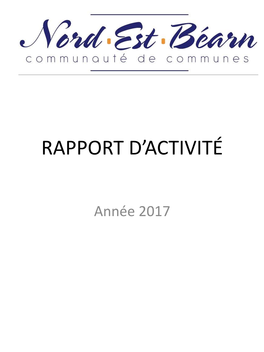 Rapport D'activité