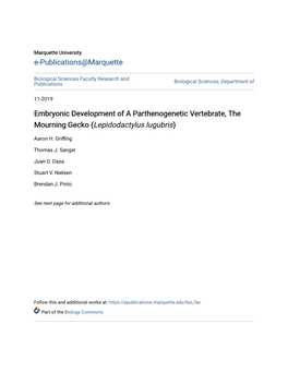 Embryonic Development of a Parthenogenetic Vertebrate, the Mourning Gecko (Lepidodactylus Lugubris)