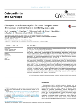 Oleuropein Or Rutin Consumption Decreases the Spontaneous Development of Osteoarthritis in the Hartley Guinea Pig