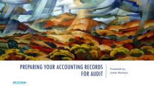 Preparing Your Accounting Records for Audit