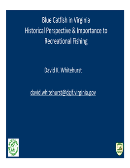 Blue Catfish in Virginia Historical Perspective & Importance To
