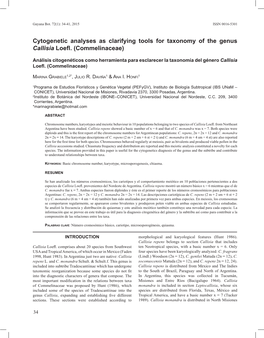Cytogenetic Analyses As Clarifying Tools for Taxonomy of the Genus Callisia Loefl