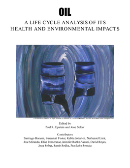 A Life Cycle Analysis of Its Health and Environmental Impacts