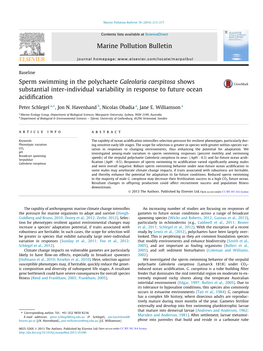 Sperm Swimming in the Polychaete Galeolaria Caespitosa Shows Substantial Inter-Individual Variability in Response to Future Ocea