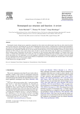 Stomatopod Eye Structure and Function: a Review