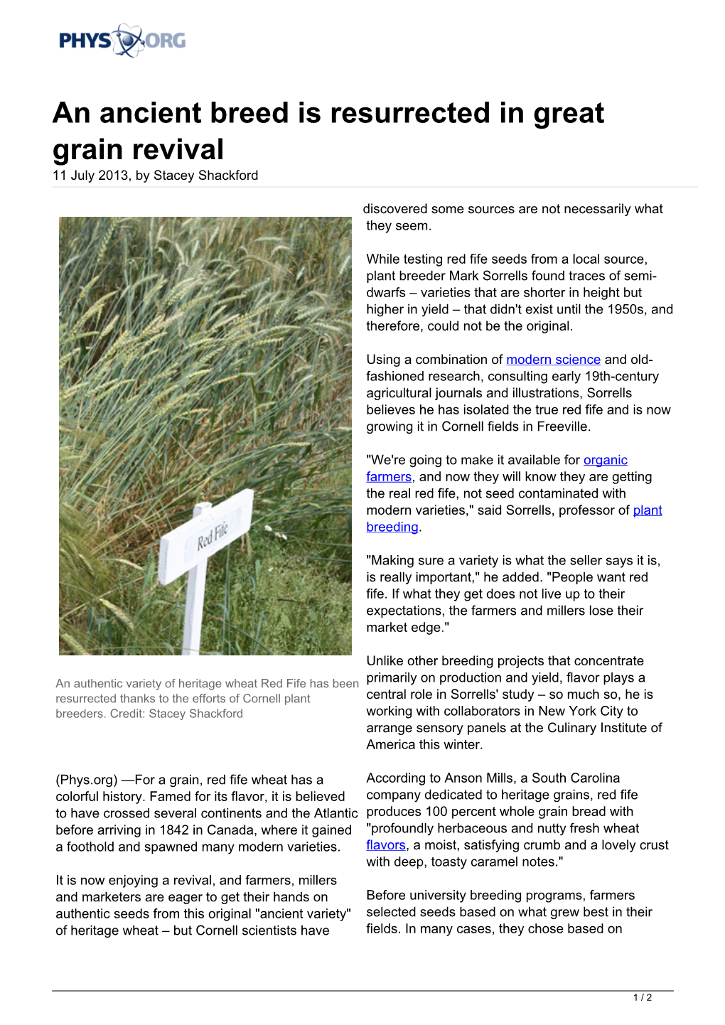 An Ancient Breed Is Resurrected in Great Grain Revival 11 July 2013, by Stacey Shackford