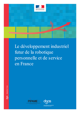Le Développement Industriel Futur De La Robotique Personnelle Et De Service En France