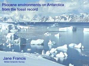 Jane Francis British Antarctic Survey
