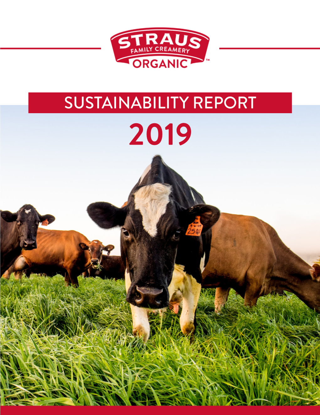 Sustainability Report 2019 Table of Contents