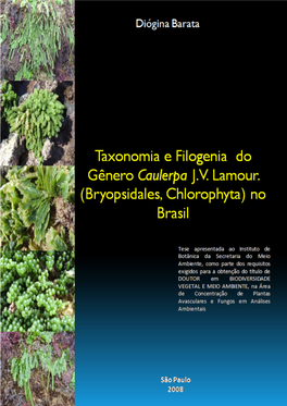 Bryopsidales, Chlorophyta) No Brasil