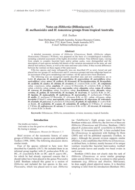 Notes on Hibbertia (Dilleniaceae) 5