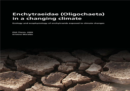 Enchytraeidae (Oligochaeta) in a Changing Climate