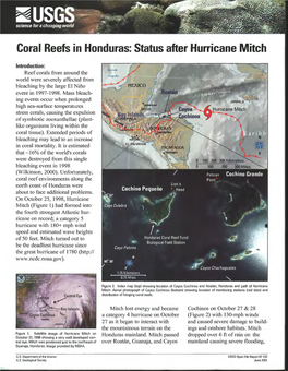 Coral Reefs in Honduras: Status After Hurricane Mitch