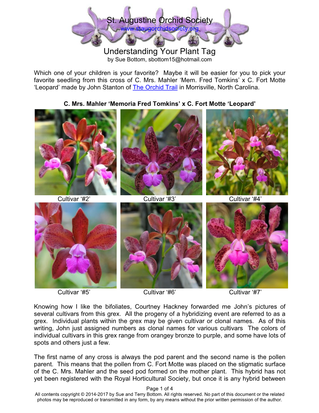 Understanding Your Plant Tag by Sue Bottom, Sbottom15@Hotmail.Com