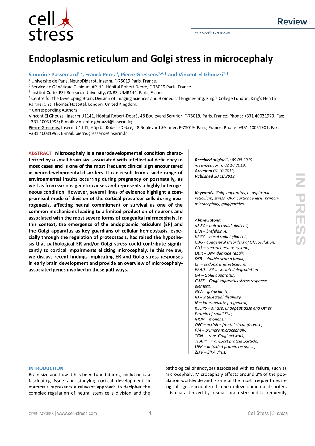 Endoplasmic Reticulum and Golgi Stress in Microcephaly