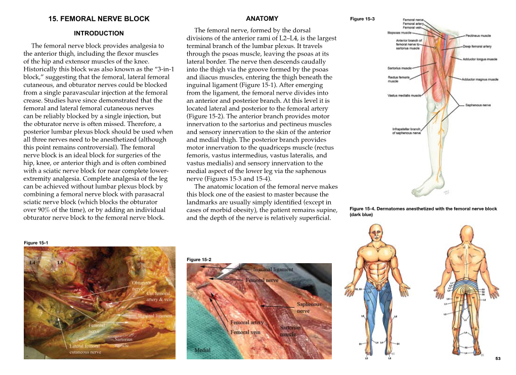 FEMORAL NERVE BLOCK ANATOMY Figure 15-3