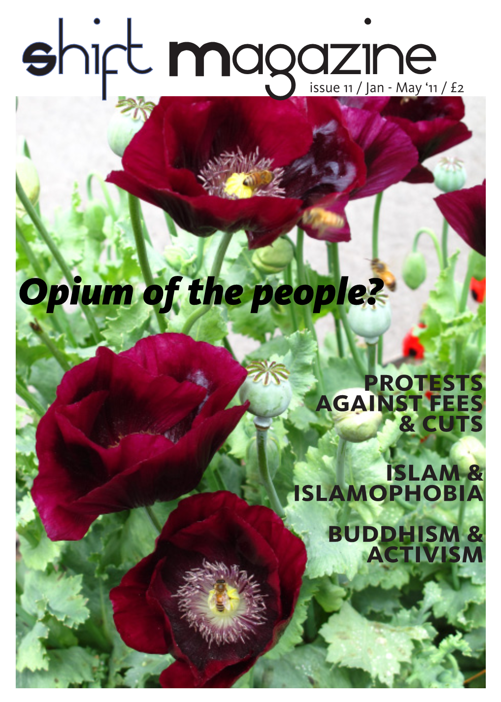 Opium of the People?