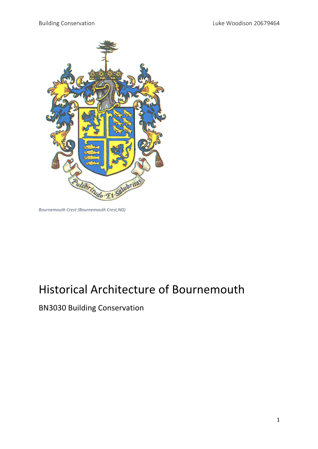 Building Conservation Luke Woodison 20679464