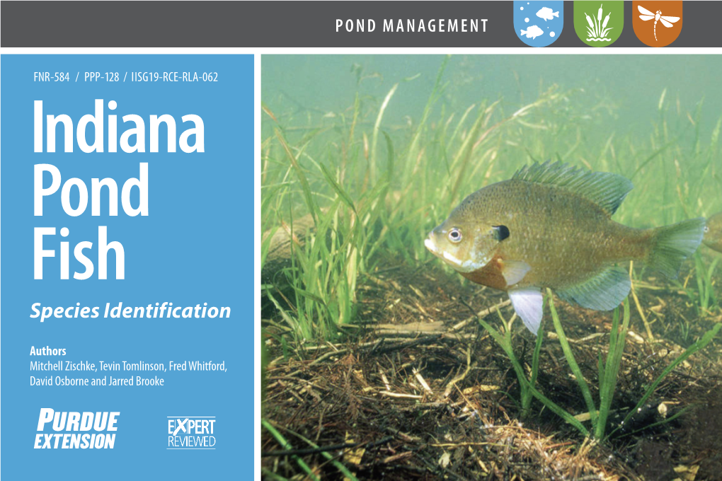 Indiana Pond Fish Species Identification