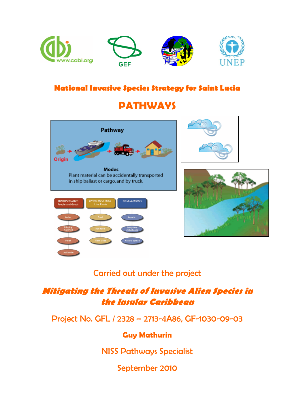 NISS Pathways 2010