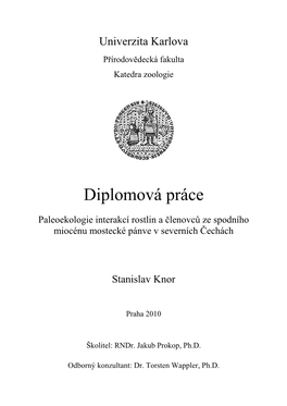 Diplomová Práce