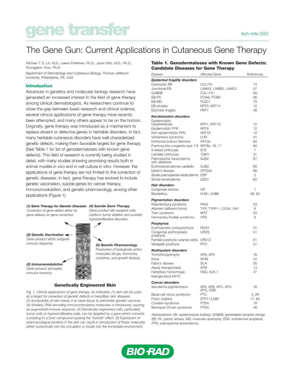 Gene Transfer Tech Note 2552 the Gene Gun: Current Applications in Cutaneous Gene Therapy