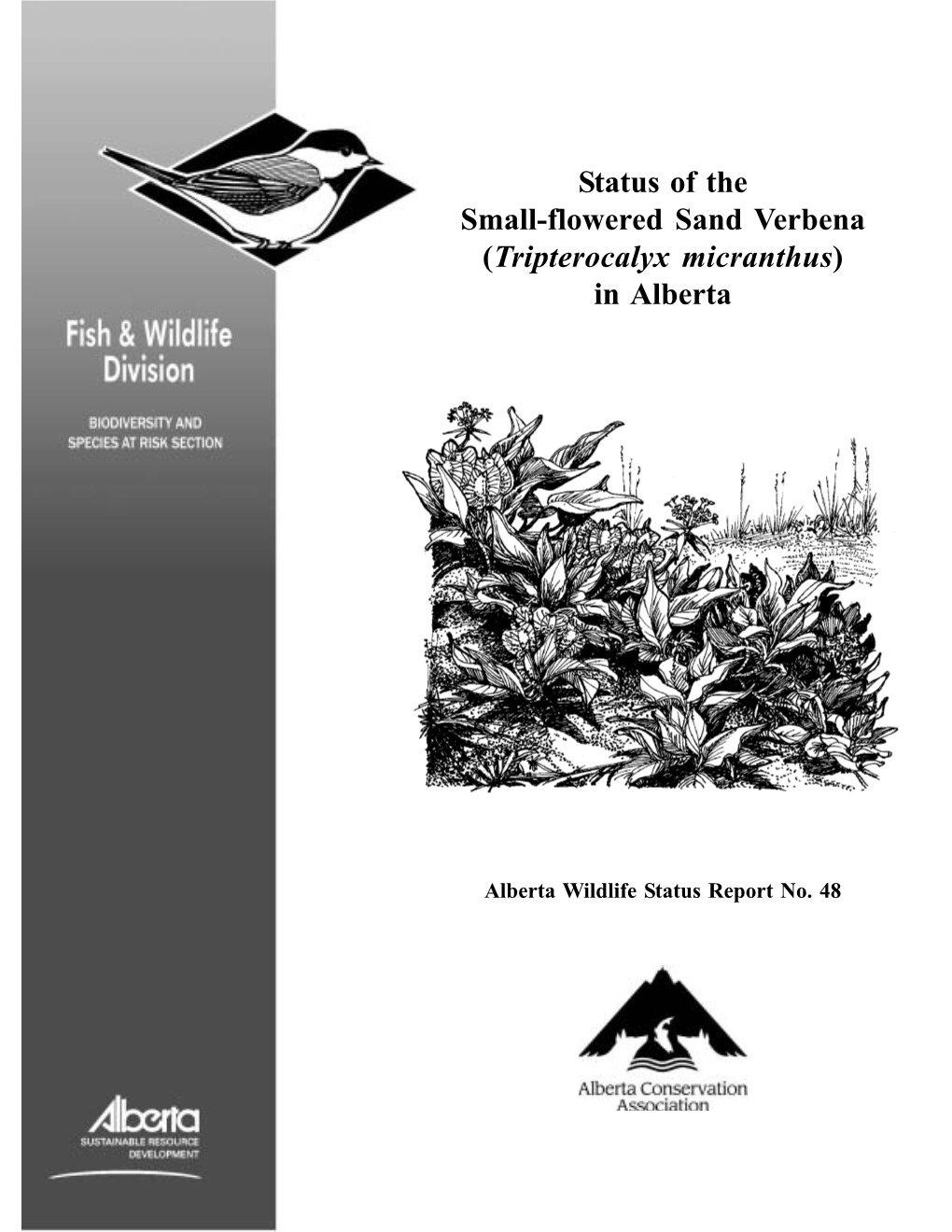 Status of the Small-Flowered Sand Verbena (Tripterocalyx Micranthus) in Alberta