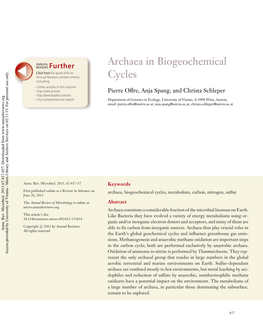 Archaea in Biogeochemical Cycles