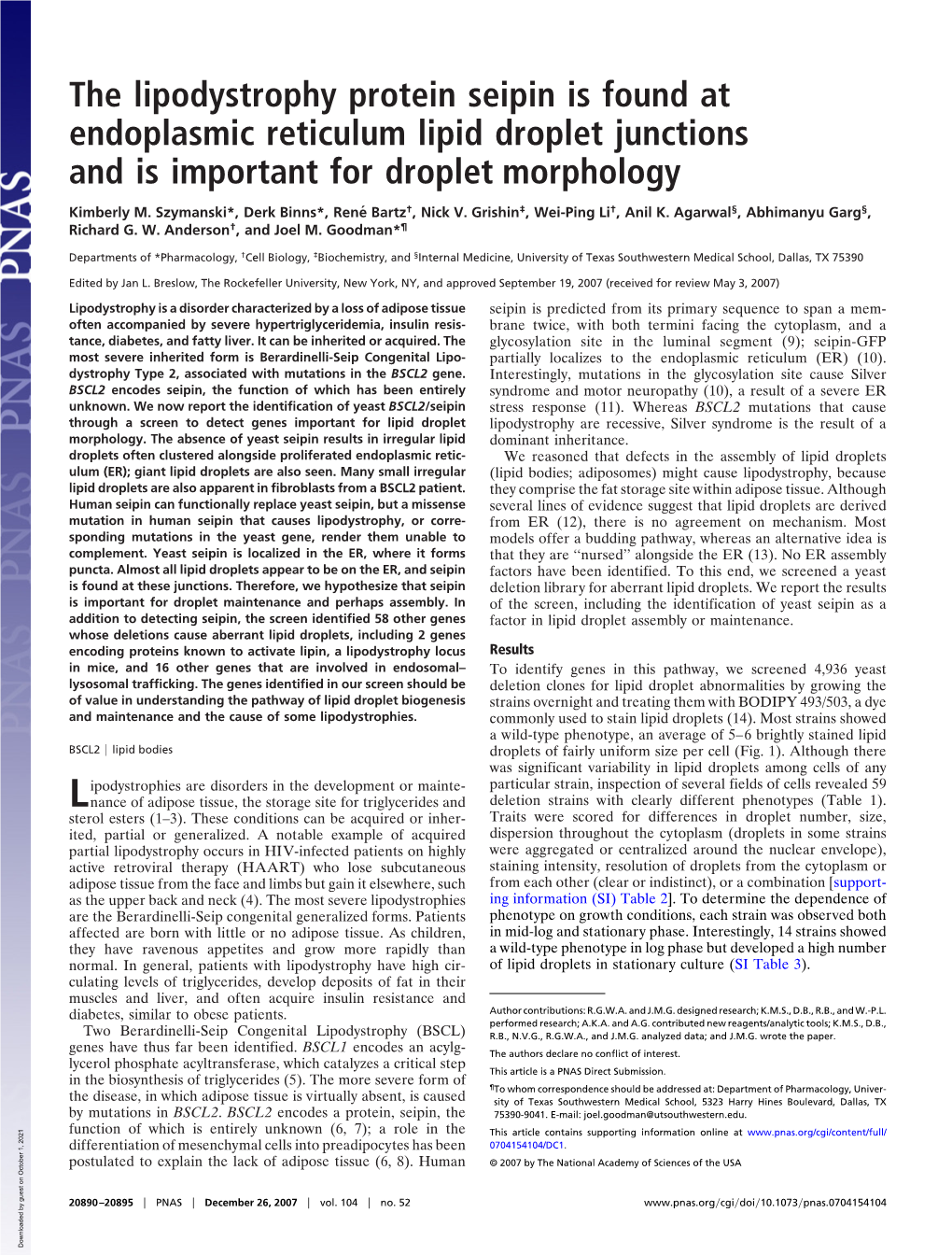 The Lipodystrophy Protein Seipin Is Found at Endoplasmic Reticulum Lipid Droplet Junctions and Is Important for Droplet Morphology