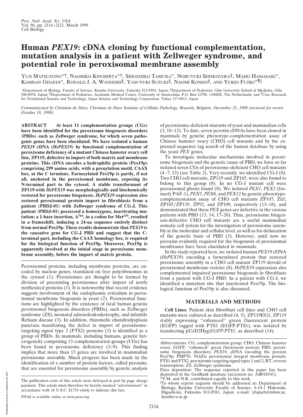 Human PEX19: Cdna Cloning by Functional Complementation, Mutation Analysis in a Patient with Zellweger Syndrome, and Potential Role in Peroxisomal Membrane Assembly