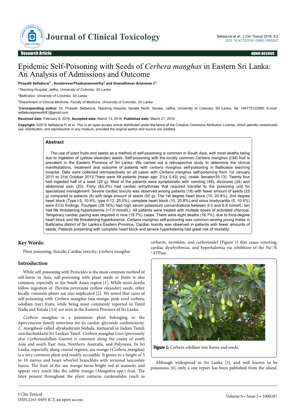 Epidemic Self-Poisoning with Seeds of Cerbera Manghas in Eastern Sri
