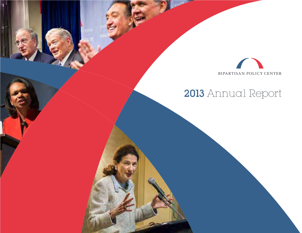 2013 Annual Report