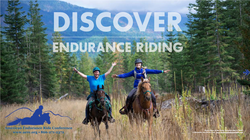 Discovernec Endurance Riding