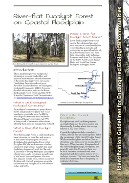 River-Flat Eucalypt Forest on Coastal Floodplain