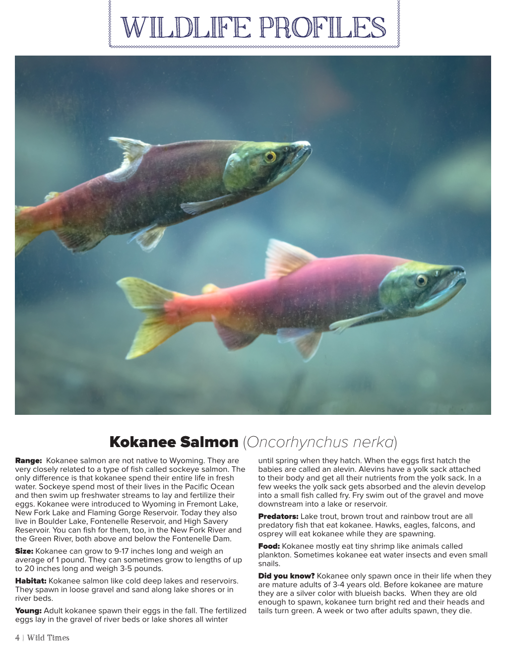 Wildlife Profiles: Fish