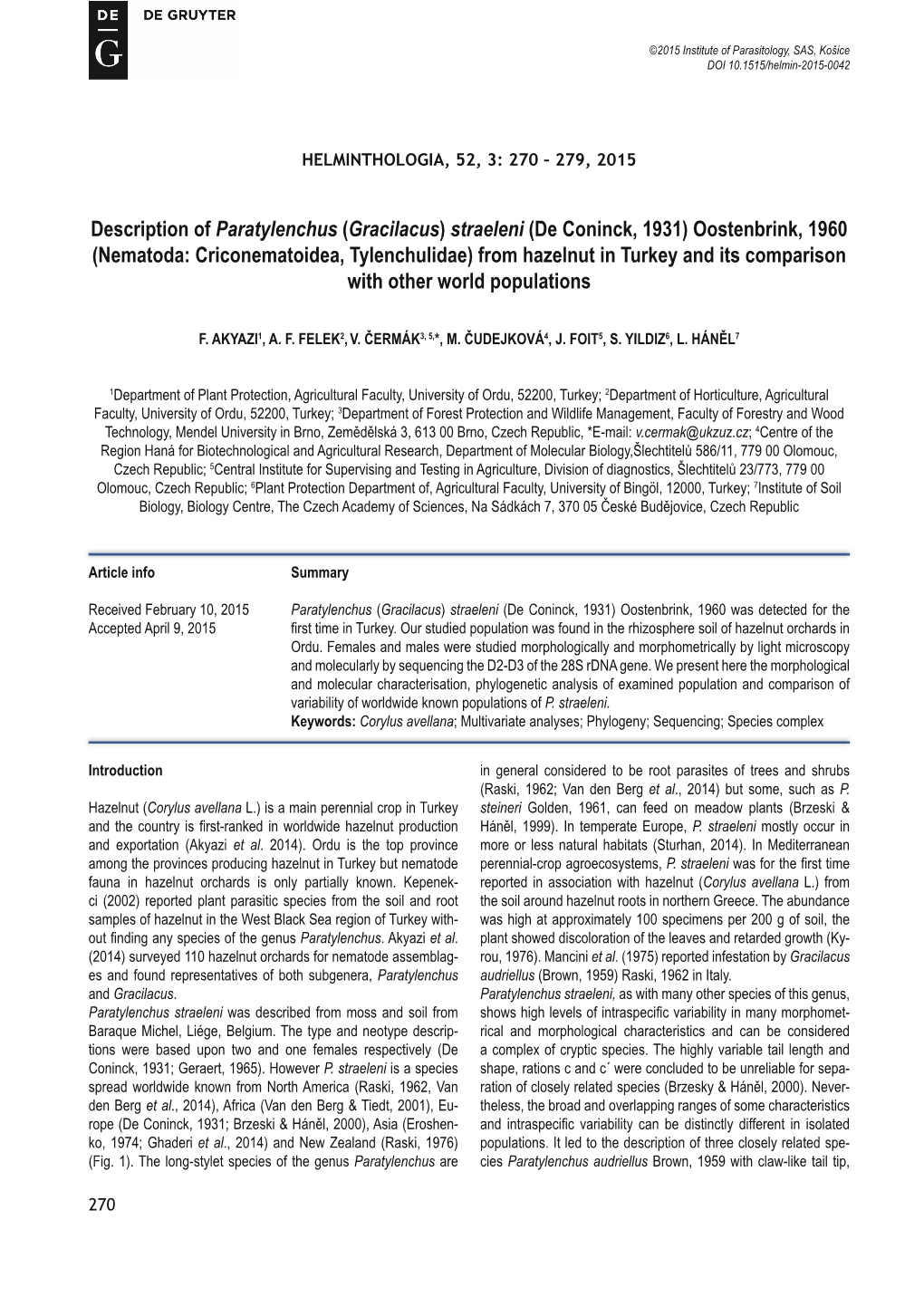 Description of Paratylenchus (Gracilacus) Straeleni